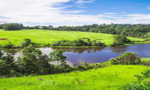 Hotels in Khao Yai